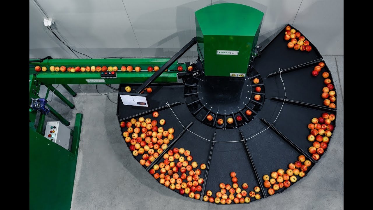 apple sorting machine industrial application