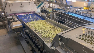 apple sorting machine industrial application