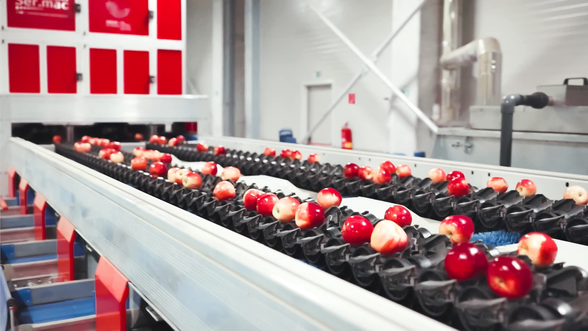 apple sorting machine industrial application