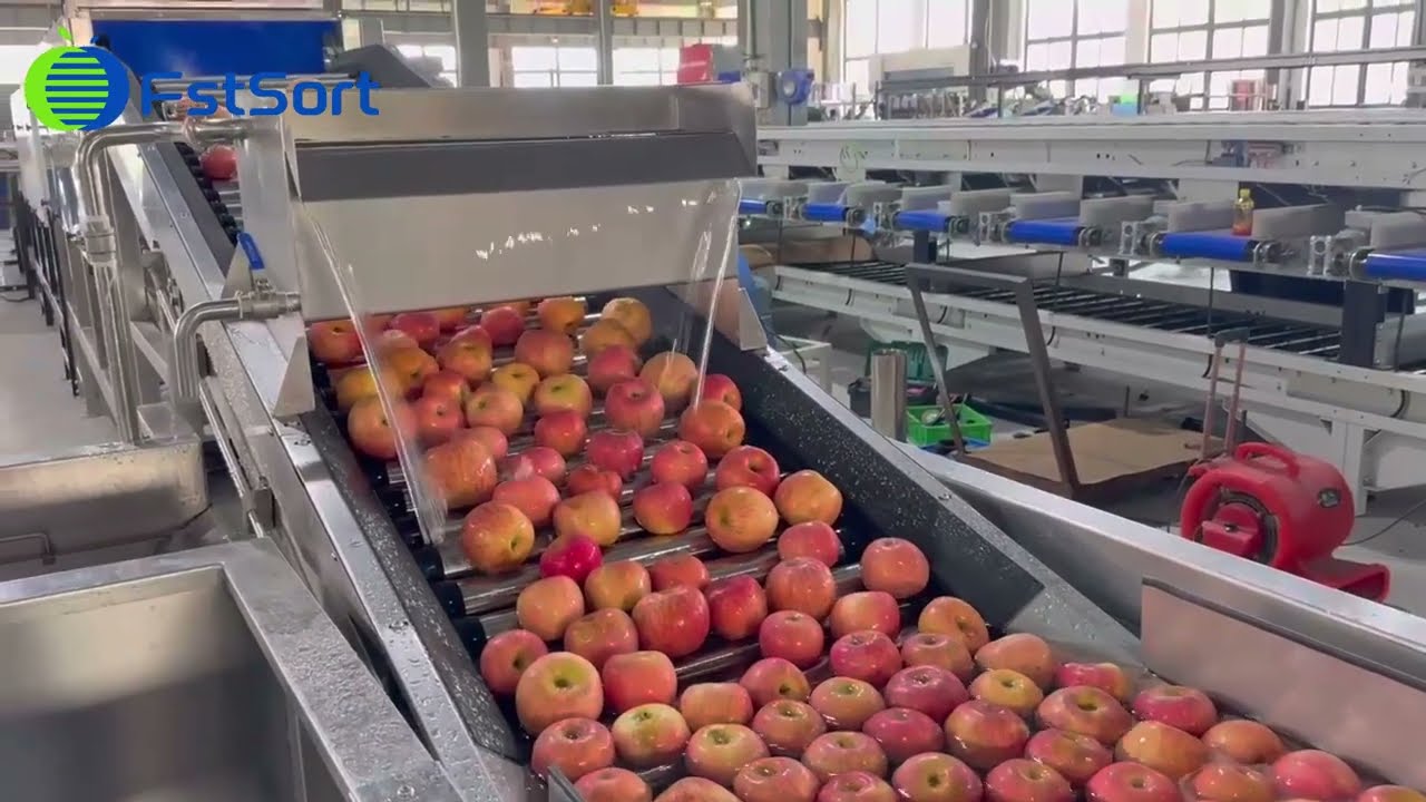 apple sorting machine industrial application