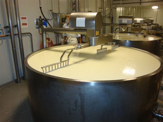 cheese vat equipment