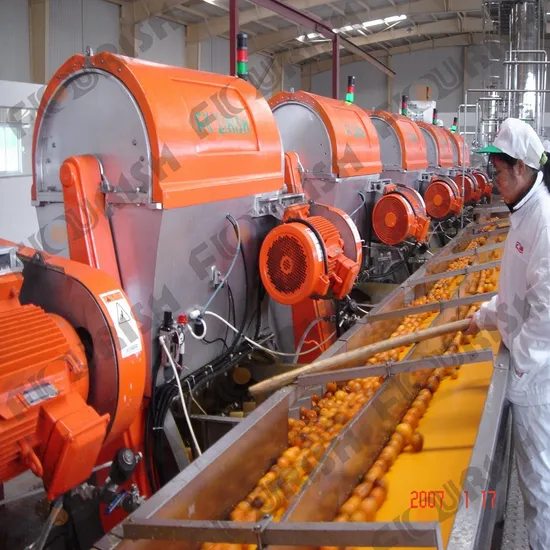 fruit juice making machine industrial application