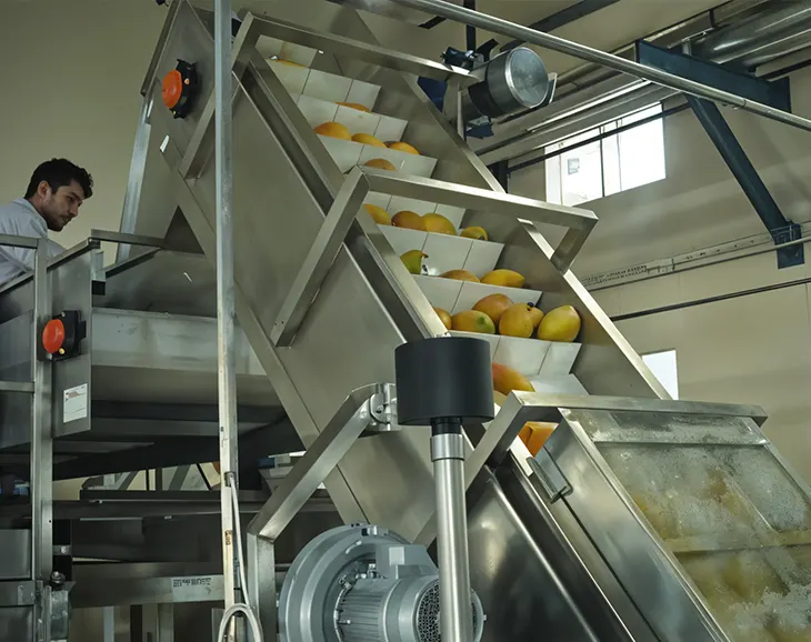 fruit processing machine industrial application