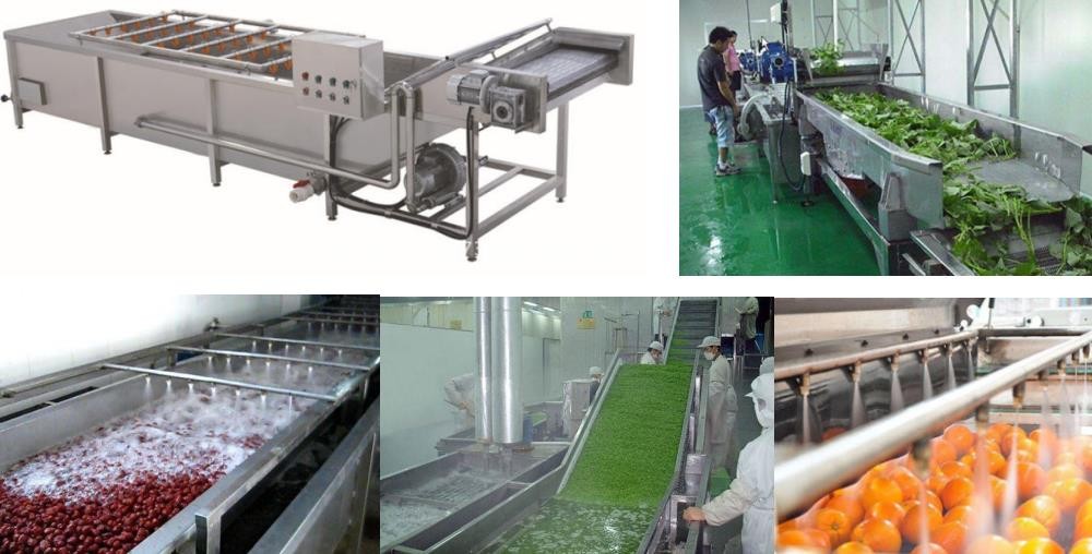 fruit washing machine industrial application