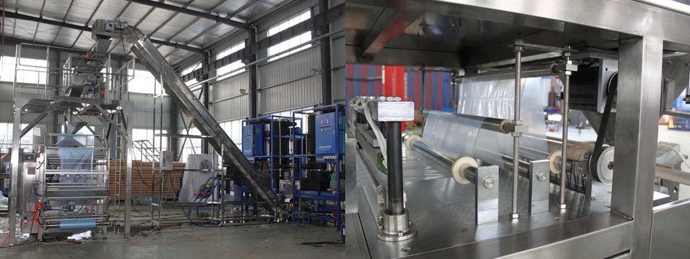 ice packing machine industrial application