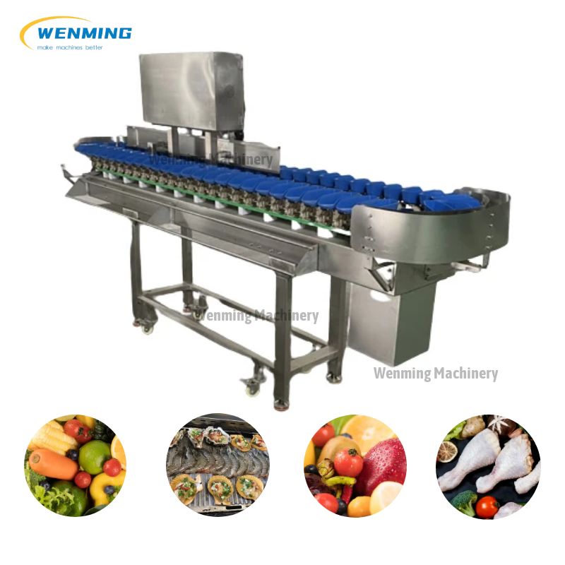 machine sorting fruit industrial application