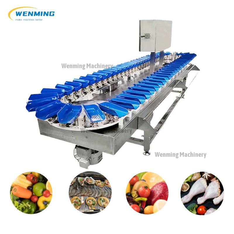 machine sorting fruit industrial application