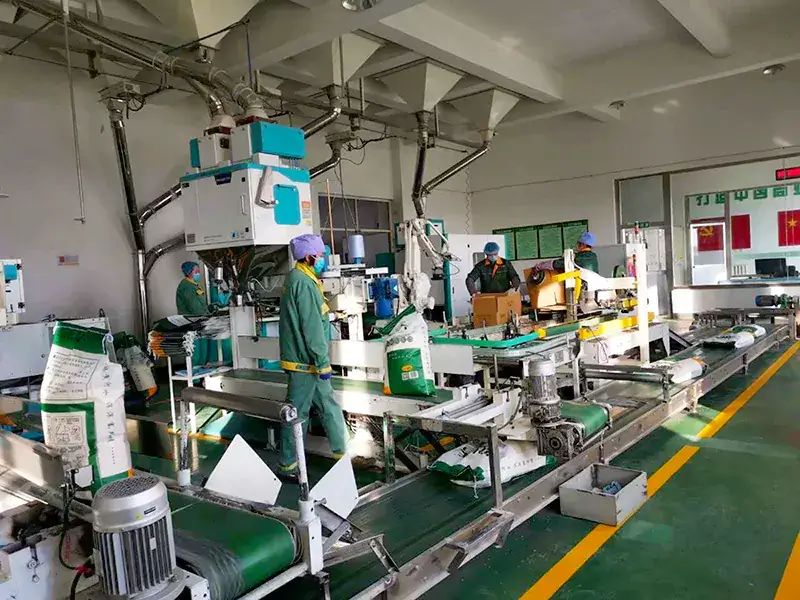 rice packaging machine equipment