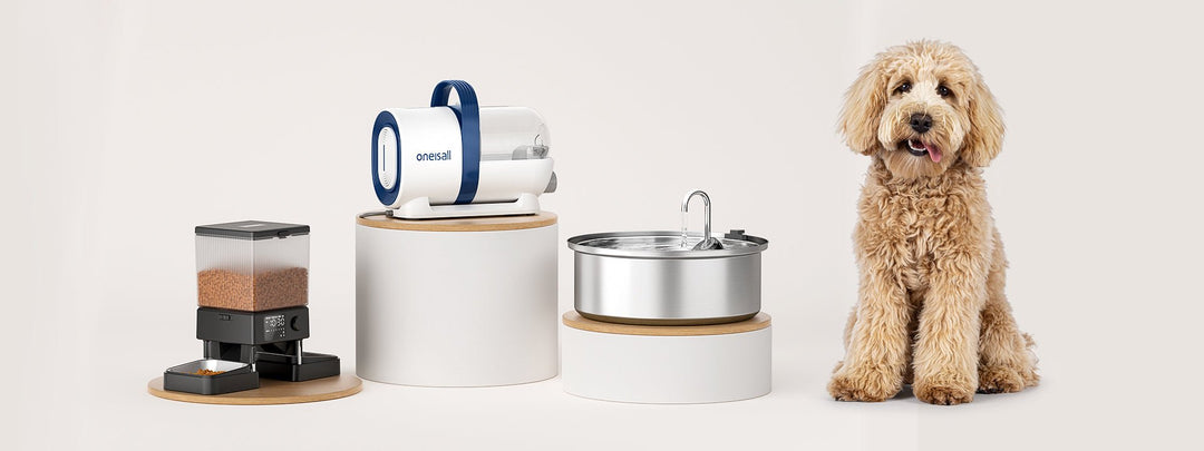 Illustrative example of Smart Pet Feeding Solutions from Google Search